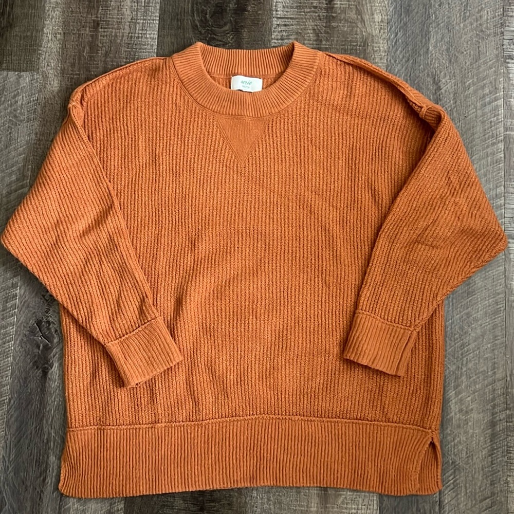 Aerie sweater